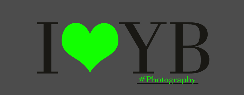 photography iloveyourbike logo